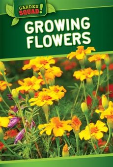 Growing Flowers