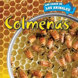 Colmenas (Inside beehives)