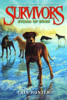 Storm of Dogs