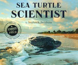 Sea Turtle Scientist