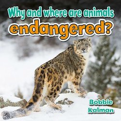 Why and Where Are Animals Endangered?