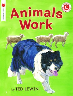 Animals Work