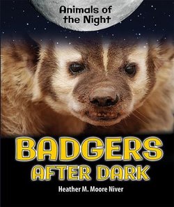 Badgers After Dark