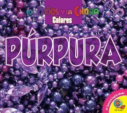 Purpura (Purple)