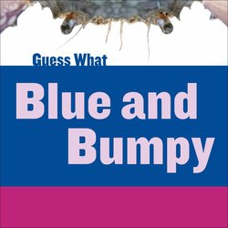 Blue and Bumpy: Blue Crab