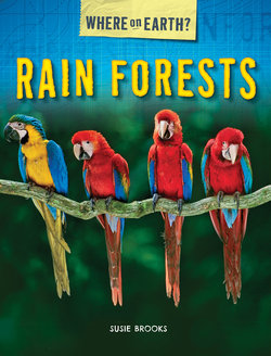 Rain Forests