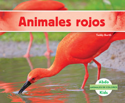 Animales rojos (Red Animals)