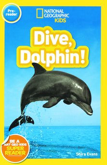 Dive, Dolphin!