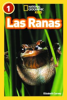 Las Ranas (Frogs)