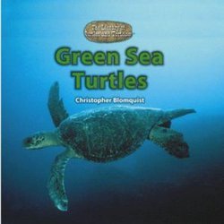 Green Sea Turtles