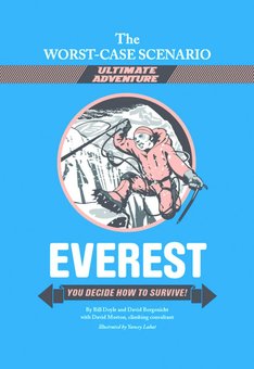 Everest: You Decide How to Survive!