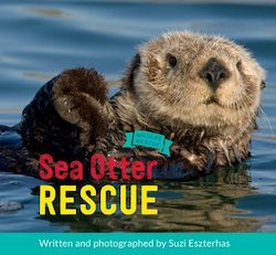 Sea Otter Rescue