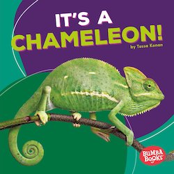 It's a Chameleon!