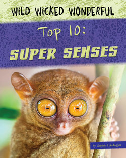 Top 10: Super Senses