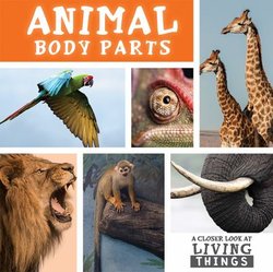 Animal Body Parts