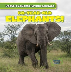 80-Year-Old Elephants!