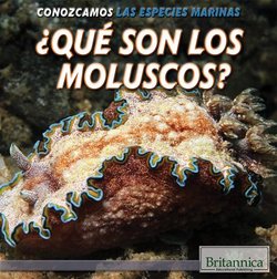 Que son los moluscos? (What Are Mollusks?)