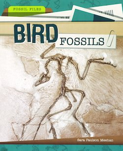 Bird Fossils