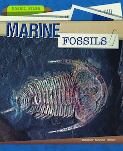 Marine Fossils