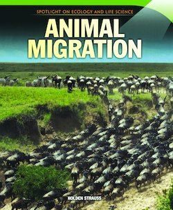 Animal Migration