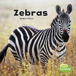 Zebras