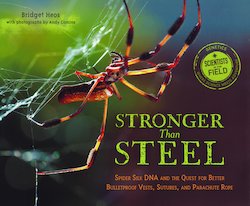 Stronger Than Steel: Spider DNA and the Quest for Better Bulletproof Vests, Sutures, and Parachute Rope