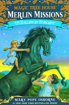 Stallion by Starlight