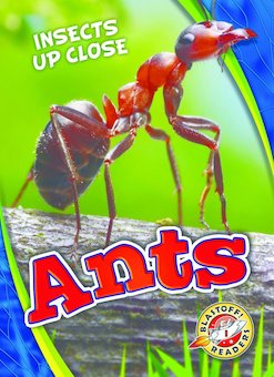 Ants