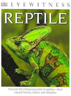 Reptile