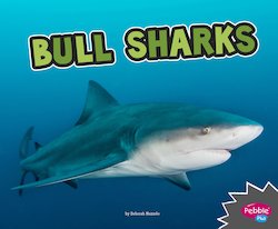 Bull Sharks