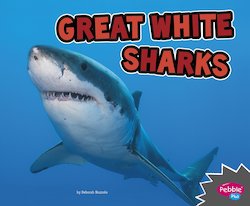 Great White Sharks