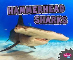 Hammerhead Sharks