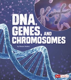 DNA, Genes, and Chromosomes