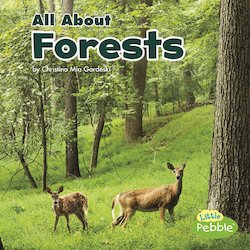 All About Forests