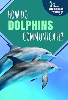 How Do Dolphins Communicate?