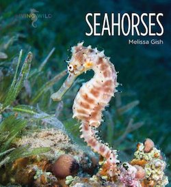 Seahorses