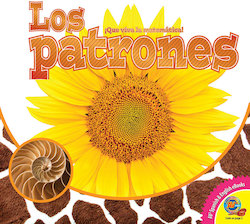 Los patrones (Patterns)