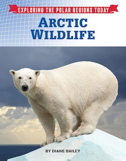 Arctic Wildlife