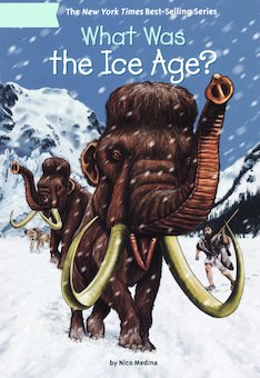 What Was the Ice Age?