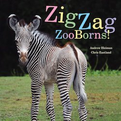 ZigZag ZooBorns