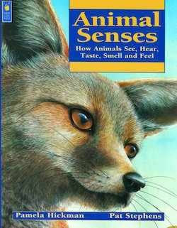 Animal Senses: How Animals See, Hear, Taste, Smell and Feel