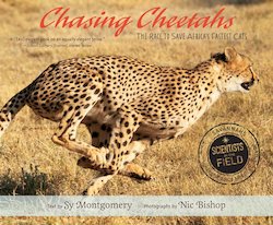 Chasing Cheetahs: The Race to Save Africa's Fastest Cats