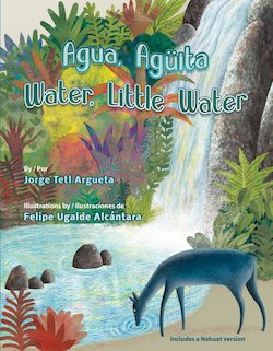 Agua, Aguita = Water, Little Water = at Achichipiga At