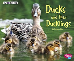 Ducks and Their Ducklings: A 4D Book