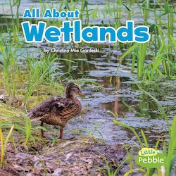 All About Wetlands