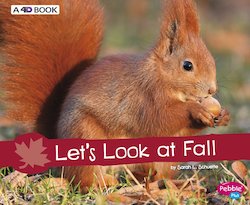 Let's Look at Fall: A 4D Book