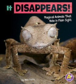 It Disappears!: Magical Animals That Hide in Plain Sight