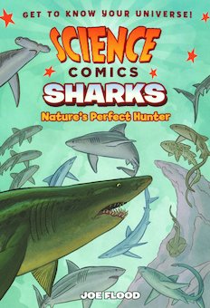 Sharks: Nature's Perfect Hunter