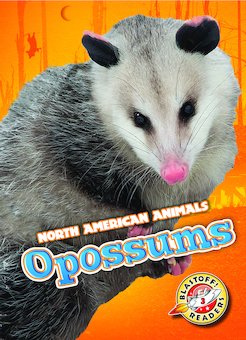 Opossums