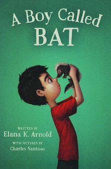 A Boy Called Bat